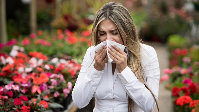 Llega La Primavera Y También Las Alergias