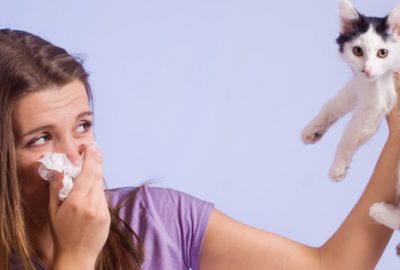 alergia-a-los-animales