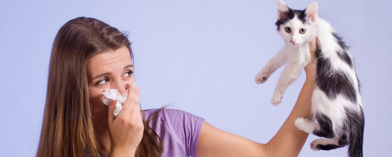 alergia-a-los-animales